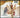 Kid Creole & The Coconuts - You Shoulda Told Me You Were - CD, CD