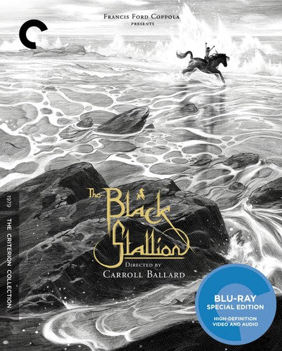 Black Stallion/Bd