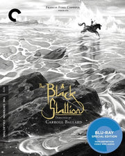 Black Stallion/Bd