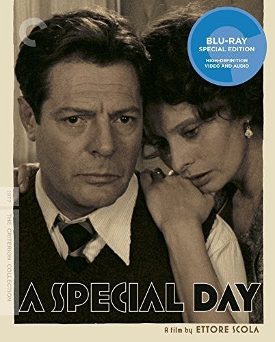 Special Day/Bd