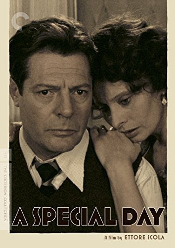 Special Day/Dvd