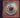 Grateful Dead - American Beauty - CD