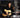 Johnny Cash - The Masters: Johnny Cash Sings The Country Classics - CD, CD