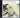 Thom Yorke, The National, Michael Stipe, Etc. - Ciao My Shining Star: The Songs Of Mark Mulcahy - CD