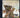 Milt Jackson - Born Free (marked/ltd stock) - CD