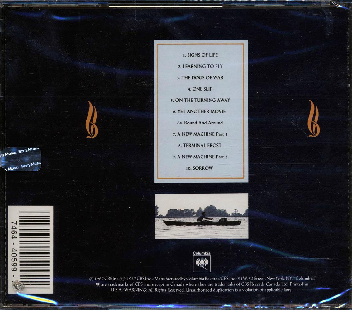 Pink Floyd - A Momentary Lapse Of Reason - CD, CD