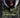 The Juliana Hatfield Three - Become What You Are - CD