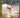 Jan & Dean - Surf City: The Very Best Of Jan & Dean - CD
