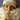Christmas Album