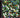 John Carter - Fields - CD