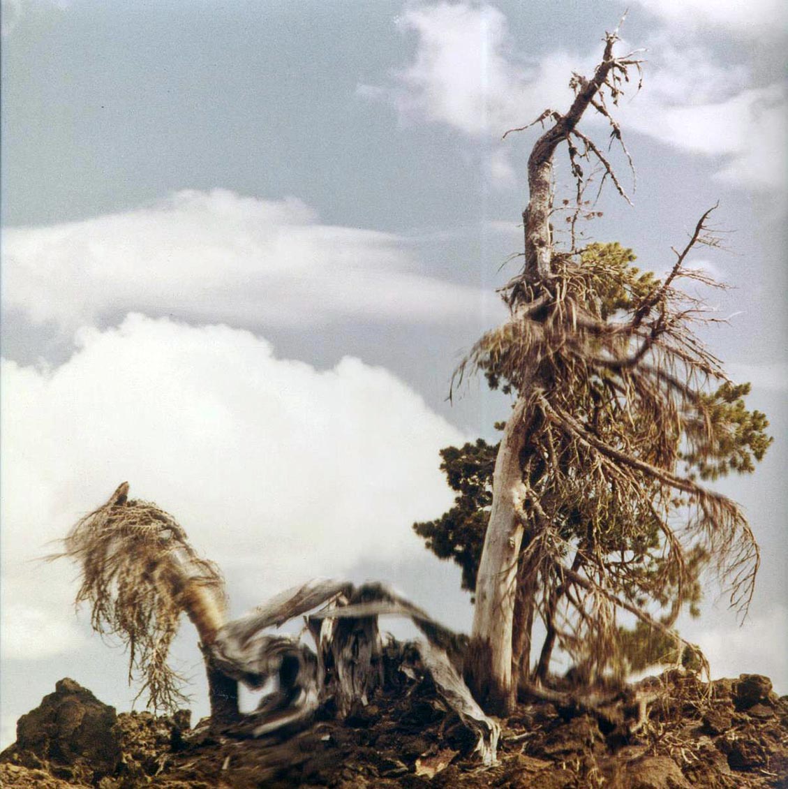 People Of The North - Steep Formations (2xLP) - Vinyl LP