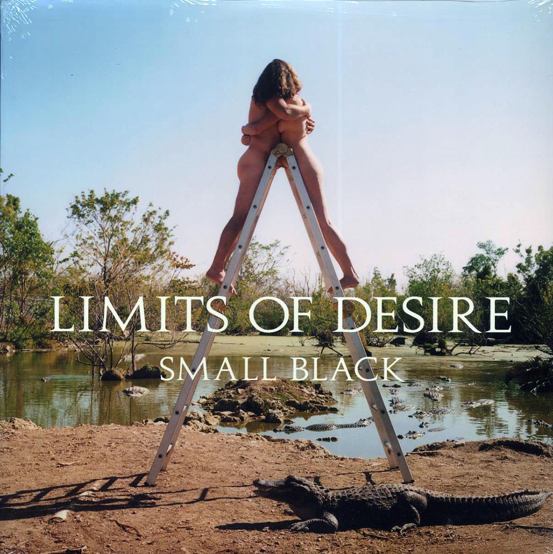 Small Black - Limits Of Desire - Vinyl LP