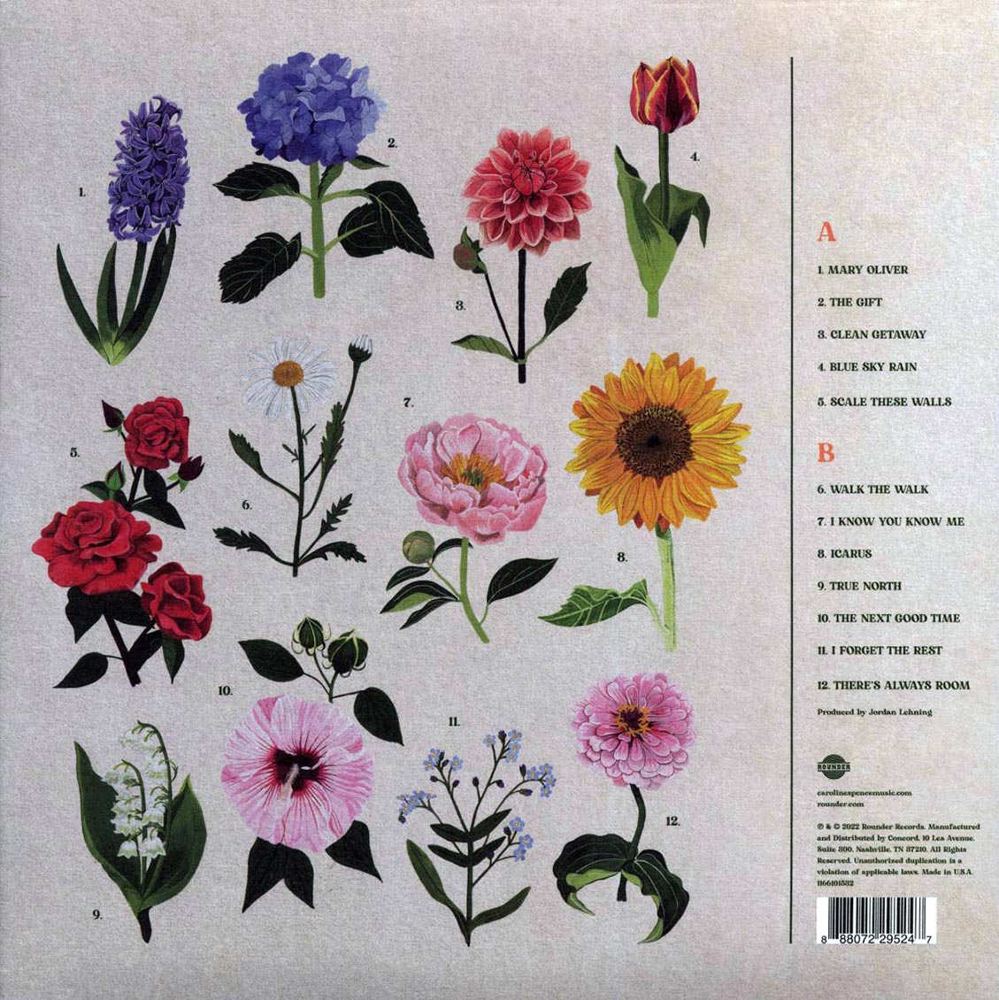 Caroline Spence - True North - Vinyl LP, LP