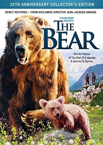 Bear, Bear, DVD