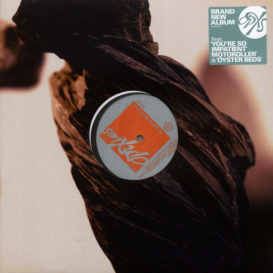 The Pixies - The Night The Zombies Came - Vinyl LP