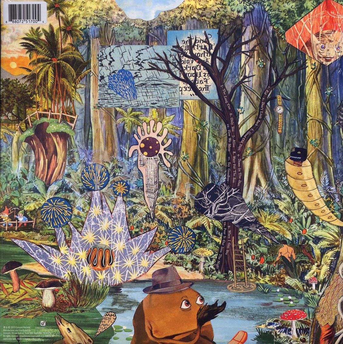 The Revivalists - Pour It Out Into The Night (ltd. ed.) (sun marble vinyl) - Vinyl LP, LP