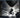 Pink Floyd - Lund 1970 (2xCD) - CD
