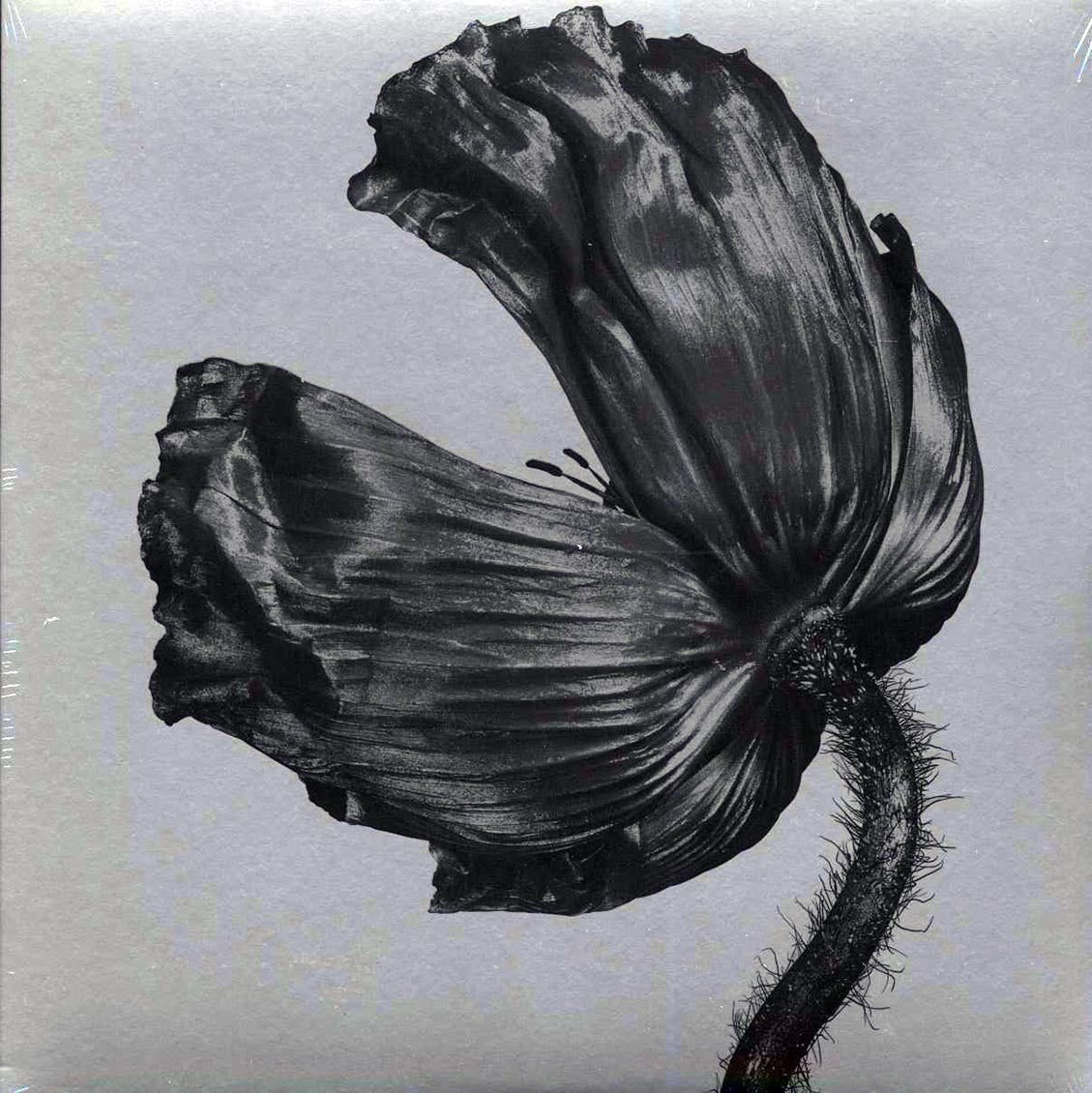 Pet Shop Boys - Release (180g) (remastered) - Vinyl LP