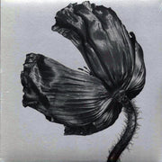 Pet Shop Boys - Release (180g) (remastered) - Vinyl LP