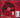 Bush - Letting The Cables Sleep - CD, CD