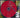 Fastball - Fire Escape - CD, CD