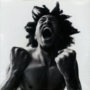 Bobby Sessions - Manifest - Vinyl LP