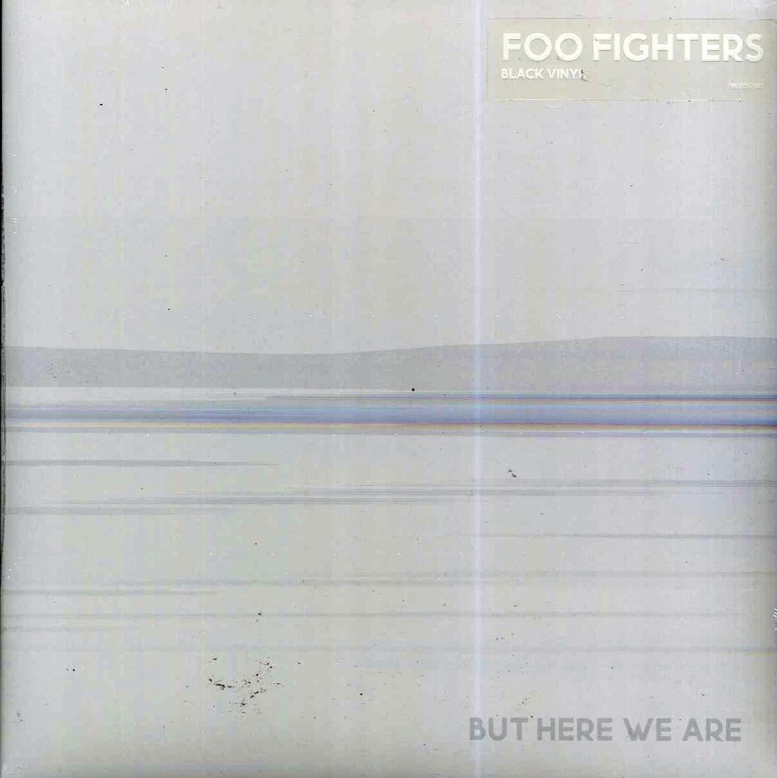 Foo Fighters - But Here We Are - Vinyl LP