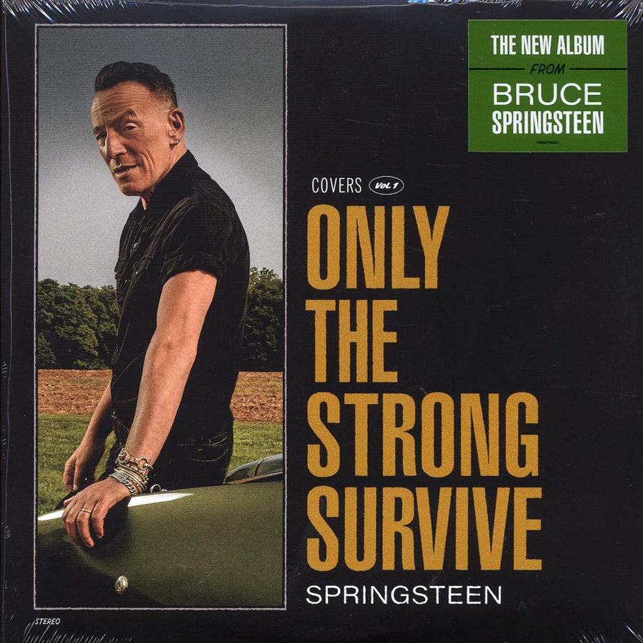 Bruce Springsteen - Only The Strong Survive (2xLP) - Vinyl LP, LP