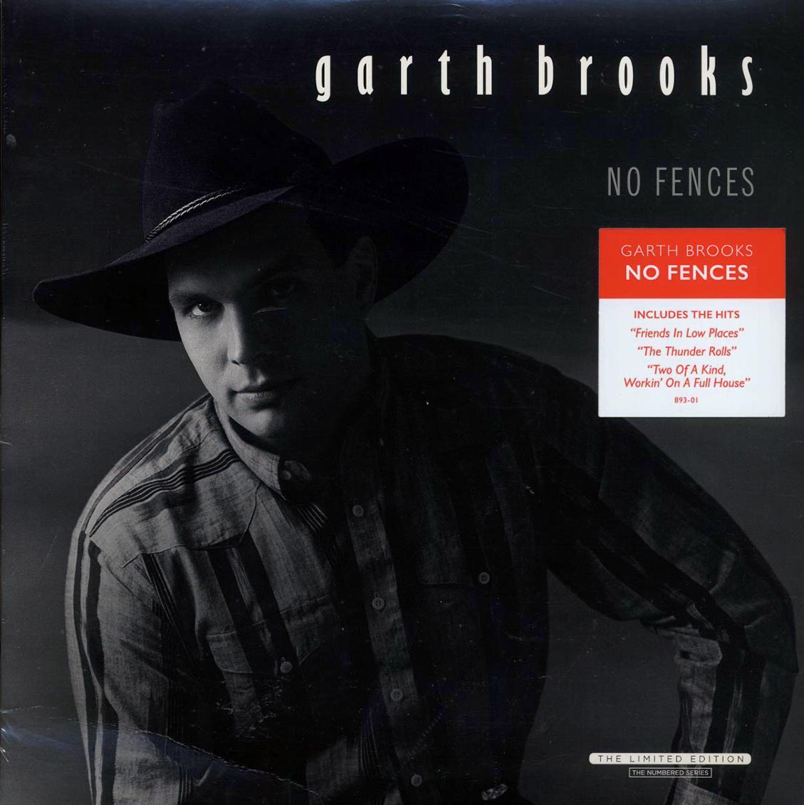 Garth Brooks - No Fences (ltd. ed.) - Vinyl LP