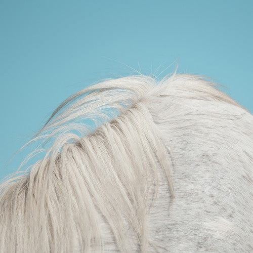 All Yours -- Widowspeak, CD