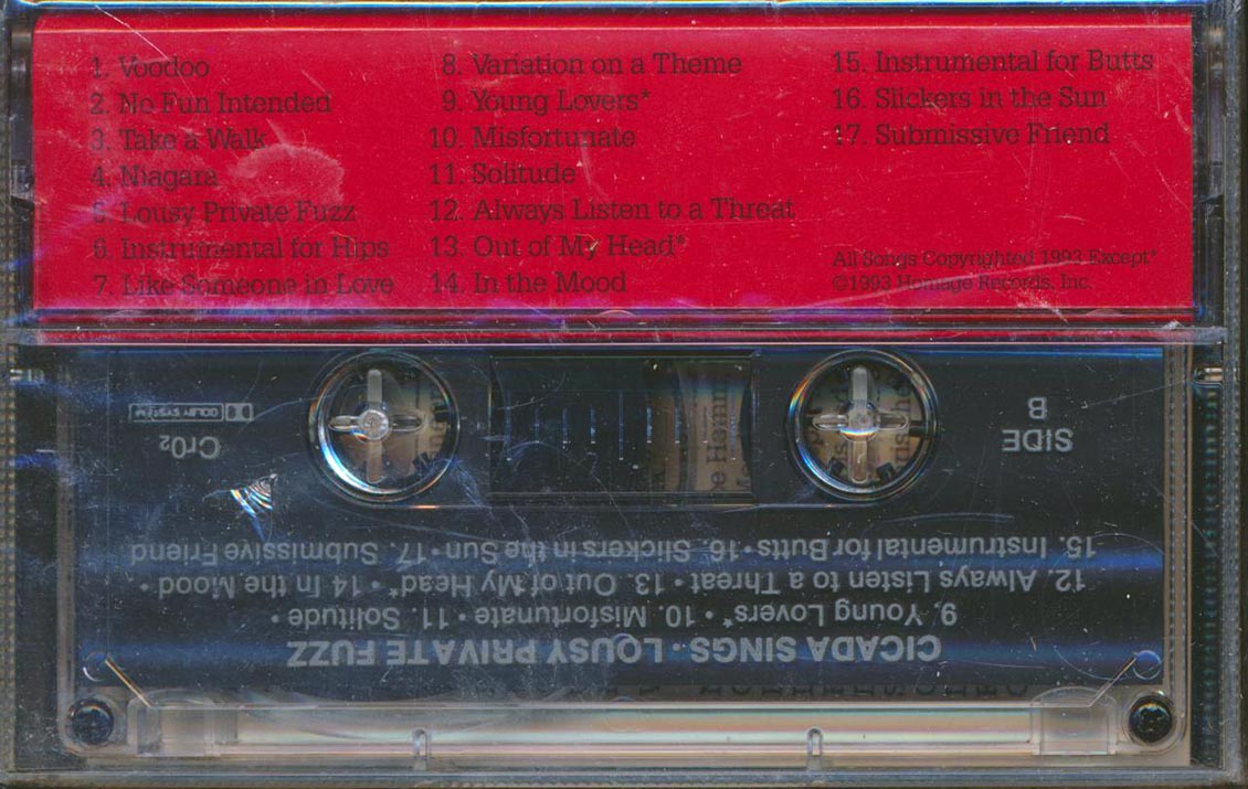 Cicada Sings - Lousy Private Fuzz - TAPE, TAPE