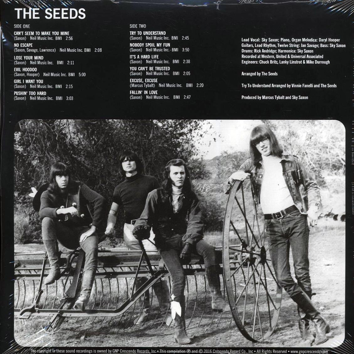 The Seeds - The Seeds (+9 bonus tracks) (mono) (2xLP) (180g) (deluxe edition) - Vinyl LP, LP