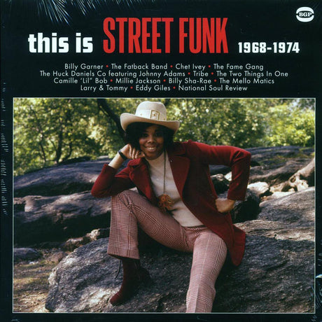 Billy Garner, The Fatback Band, Millie Jackson, Tribe, Etc. - This Is Street Funk 1968-1974 (180g) - Vinyl LP, LP