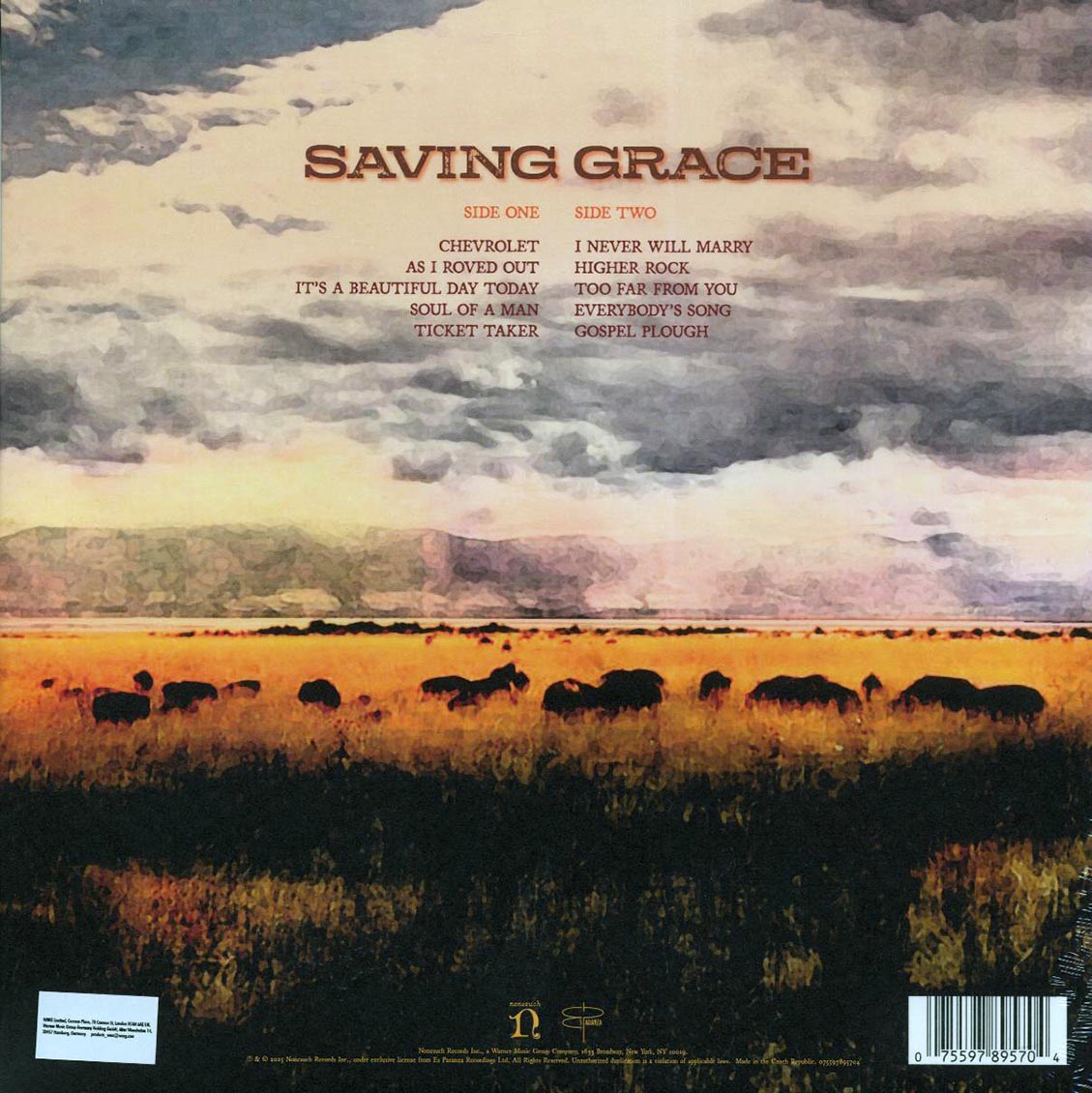 Robert Plant, Suzi Dian - Saving Grace - Vinyl LP, LP