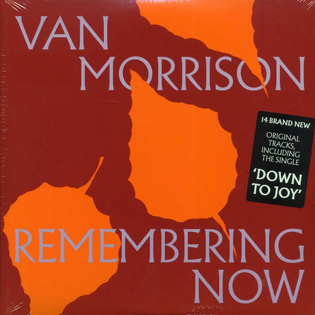 Van Morrison - Remembering Now (2xLP) - Vinyl LP, LP