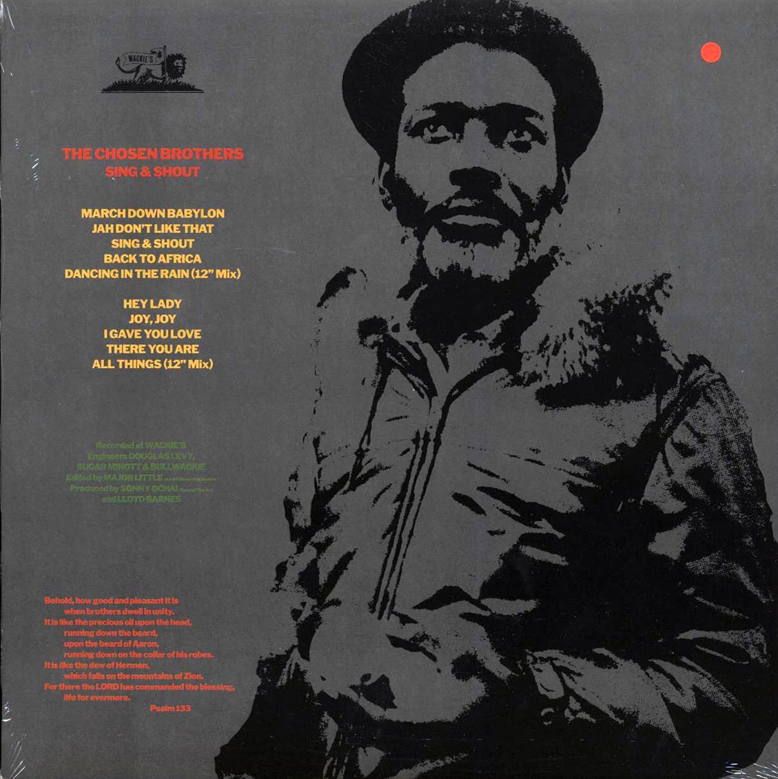 The Chosen Brothers - Sing & Shout - Vinyl LP, LP