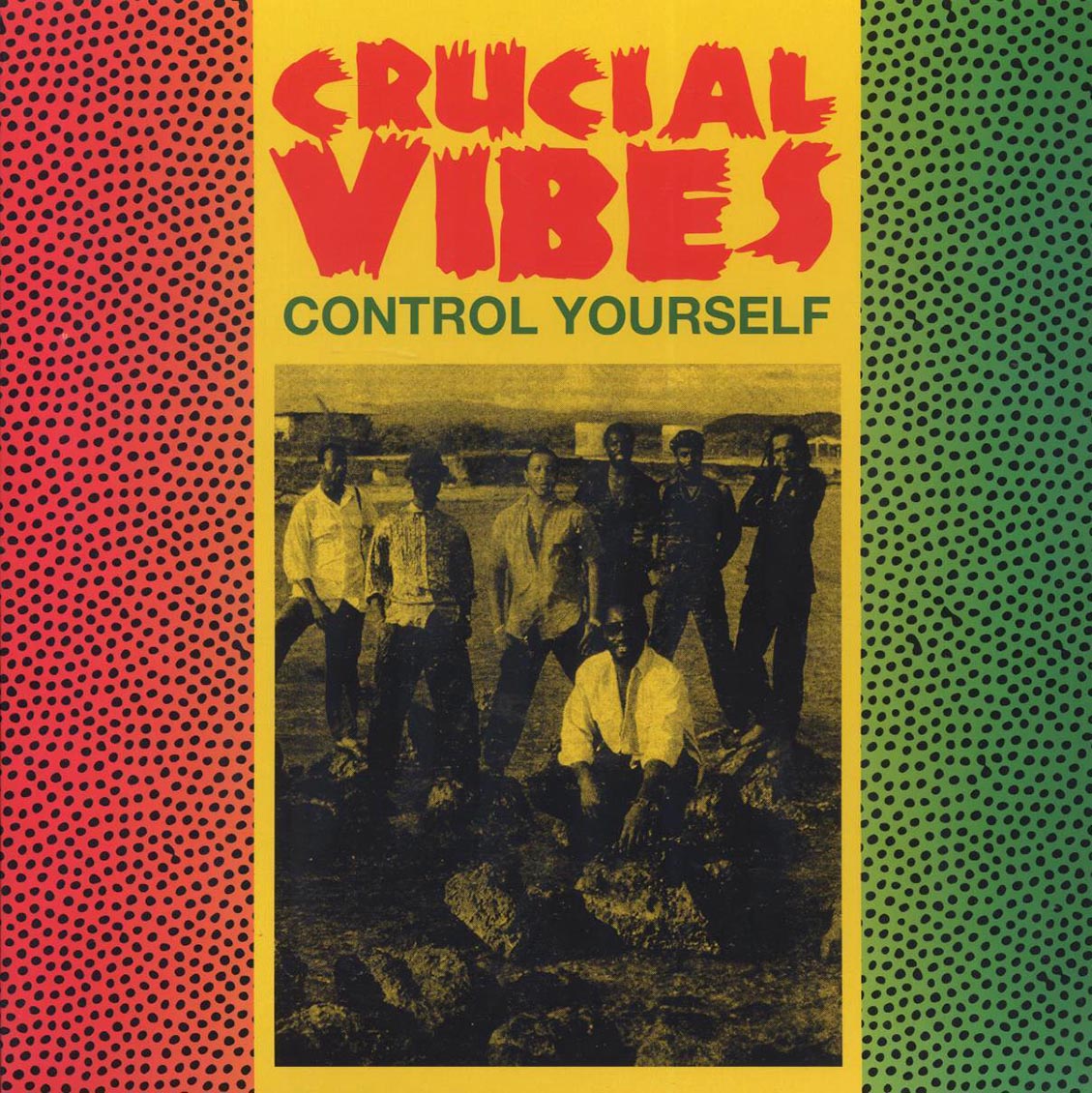 Crucial Vibes - Control Yourself - Vinyl LP