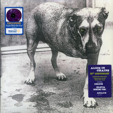 Alice In Chains - Alice In Chains (30th Anniv. Ed.) (2xLP) (purple/white vinyl) - Vinyl LP, LP