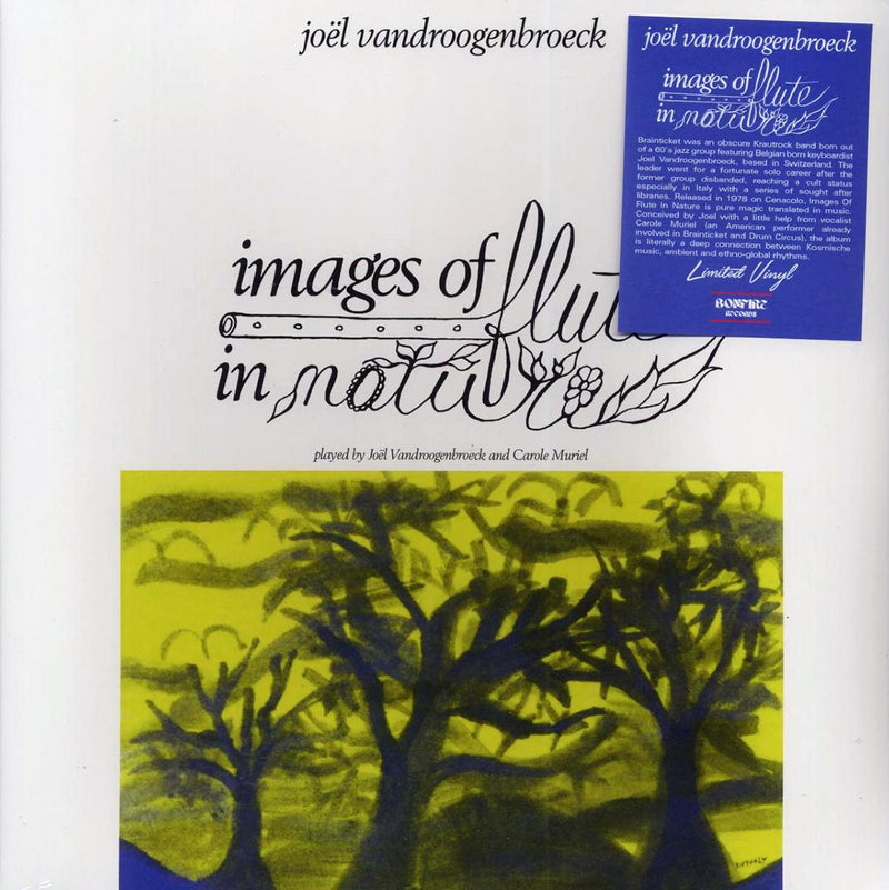 Joel Vandroogenbroeck - Images Of Flute In Nature - Vinyl LP