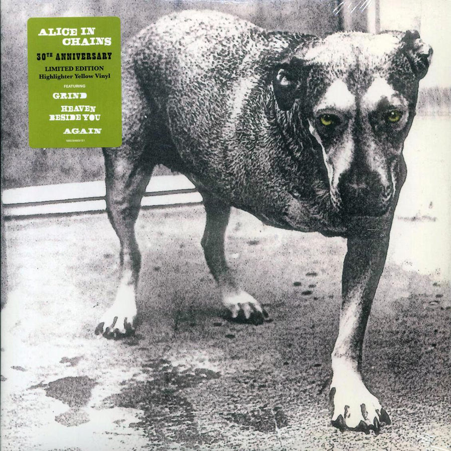 Alice In Chains - Alice In Chains (30th Anniv. Ed.) (ltd. ed.) (2xLP) (yellow vinyl) - Vinyl LP, LP