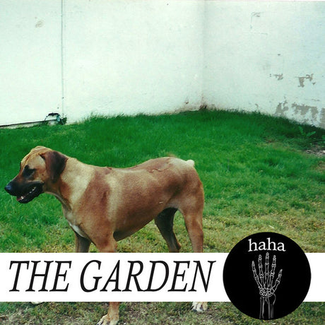 Haha, Garden, CD