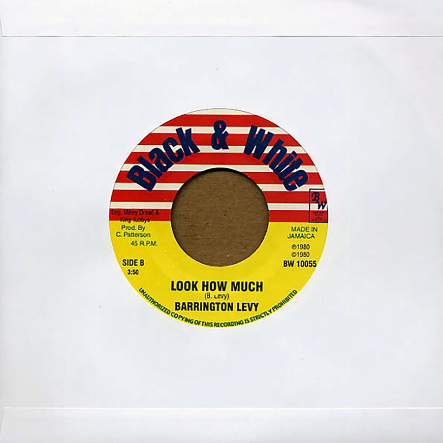 Barrington Levy - Look How Much  /  Johnny Osbourne, Ringo - Turn Me On -- 7"