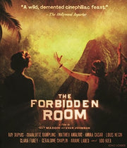 Forbidden Room