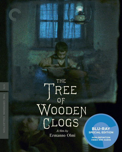 Tree Of Wooden Clogs/Bd