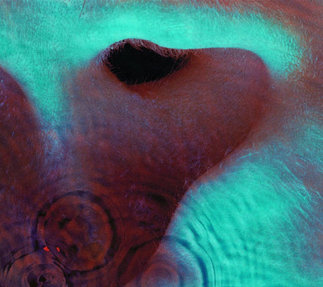 Meddle, Pink Floyd, CD