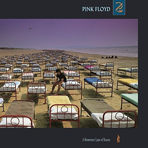 Momentary Lapse Of Reason, Pink Floyd, LP