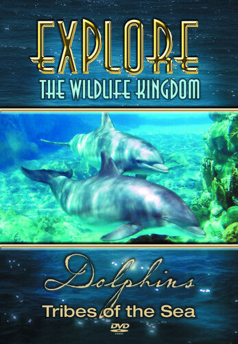Dolphins Tribes Of The Sea -- Explore The Wildlife Kingdom, DVD
