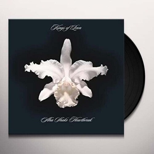 Aha Shake Heartbreak