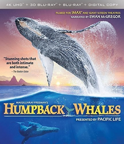 Imax: Humpback Whales, Imax: Humpback Whales, ULTRA HD