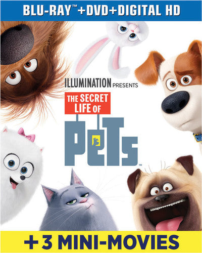 Secret Life Of Pets, Secret Life Of Pets, Blu-Ray